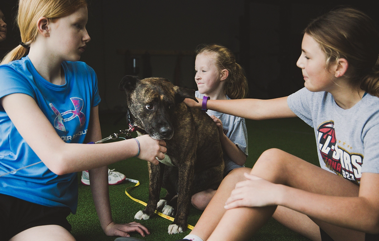 Youth athletes interacting with a gym dog at AMP youth training.